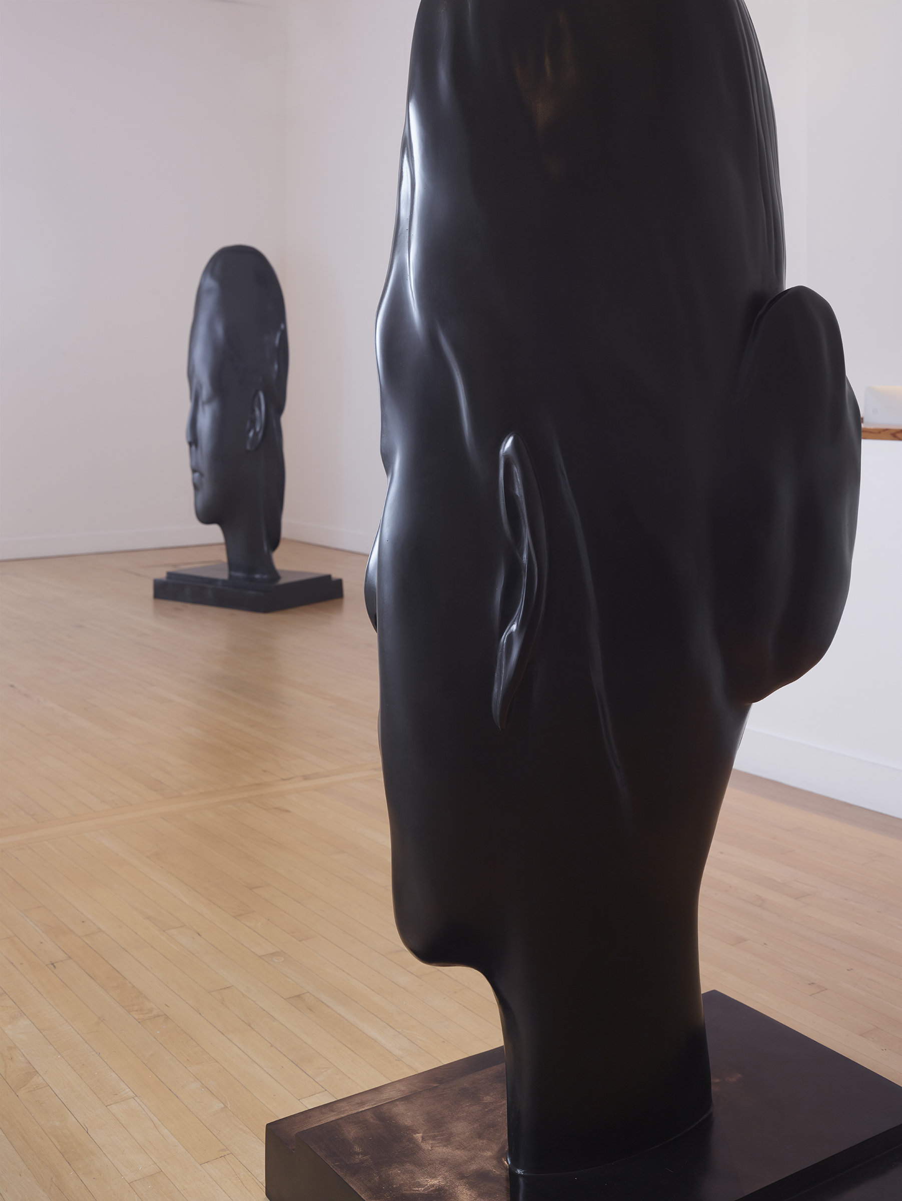 150917_HainesGallery_JaumePlensa_RDH_259.jpg