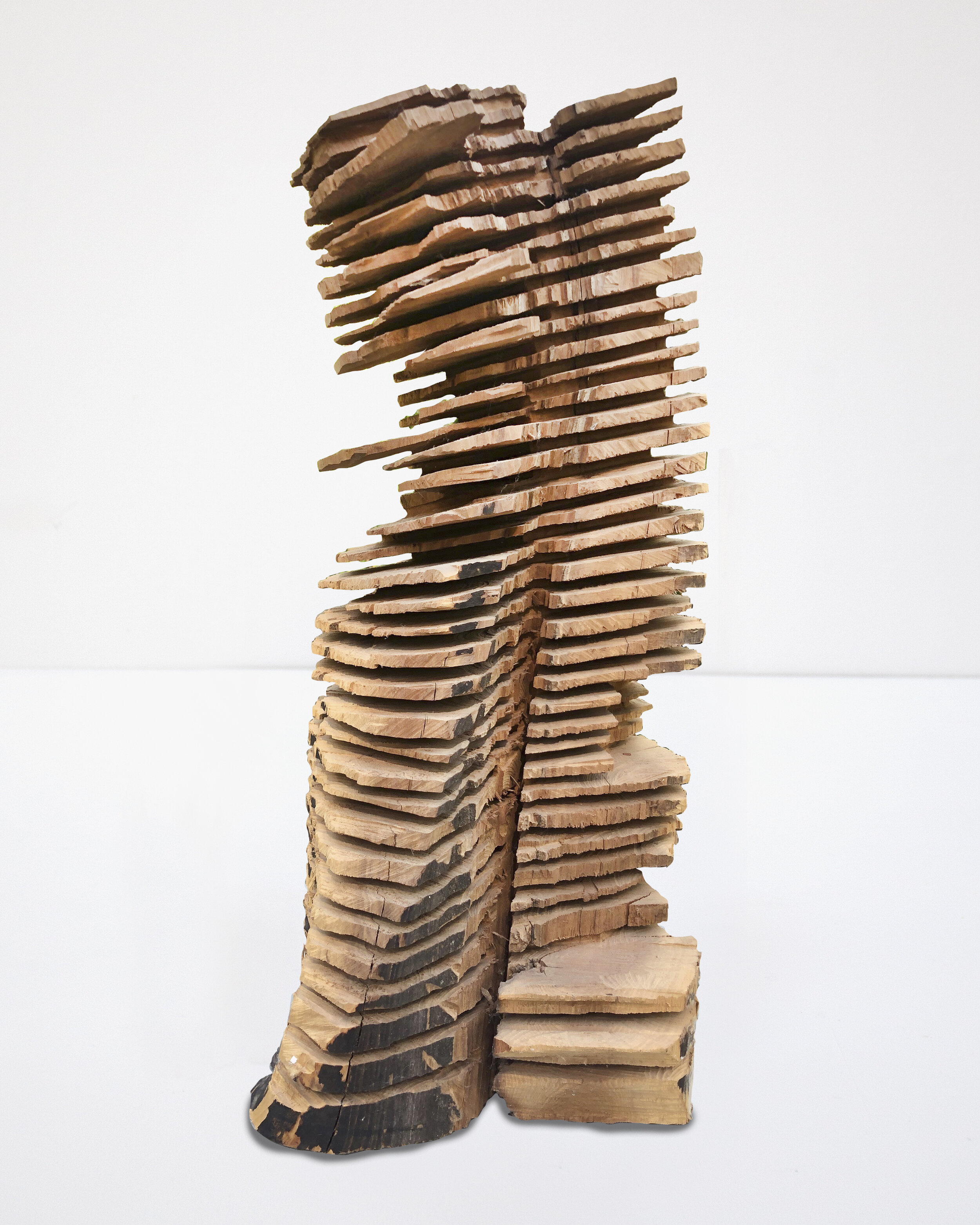  David Nash,  Untitled,  2003 Wood | 19 x 10 x 7 inches | HG15434 