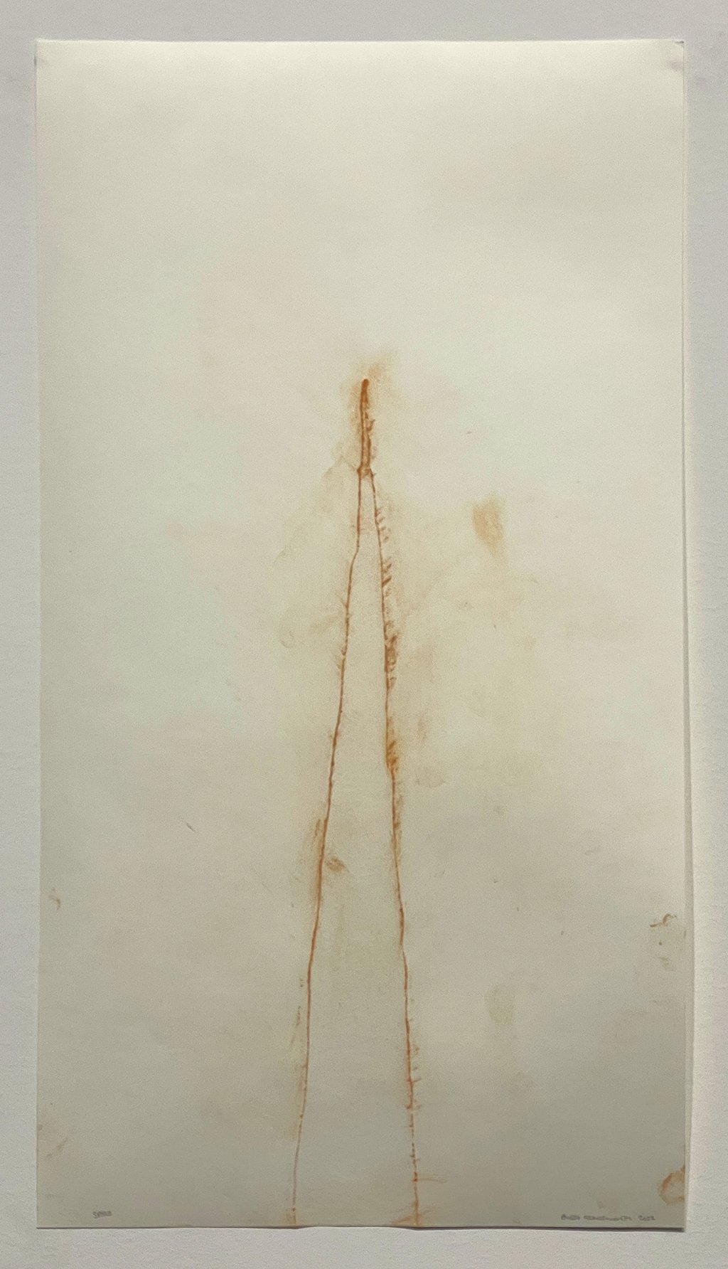  Andy Goldsworthy,  Spire , 2022 Debossed watercolor paper with red earth, Signed, titled and dated on front | 31 x 17 inches | HG15949 