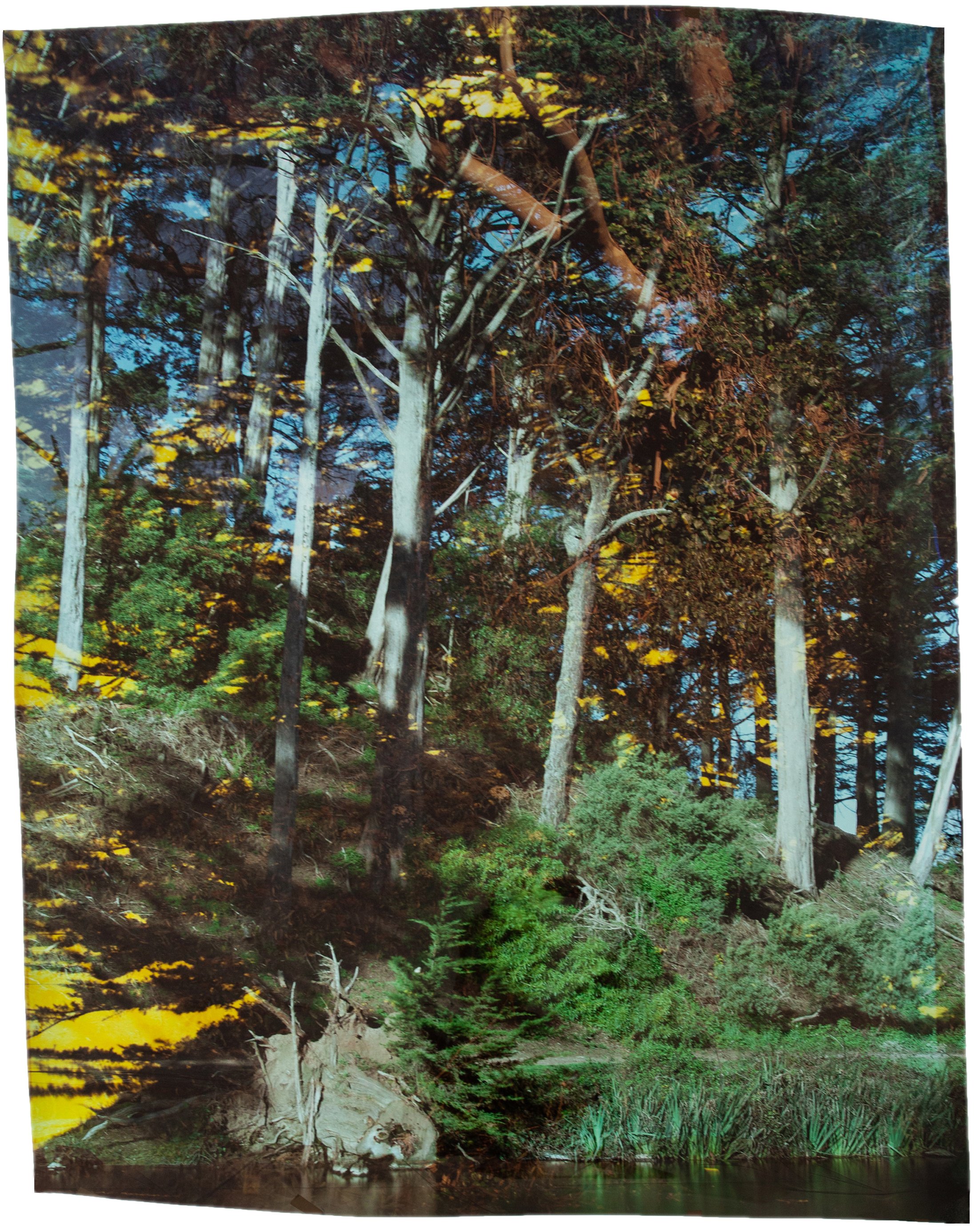   John Chiara,  Avenue H: John F. Kennedy: Stowe Lake , 2023 Camera Obscura Ilfochrome Photograph, Unique | 57 x 46.75 inches, framed | HG16456 