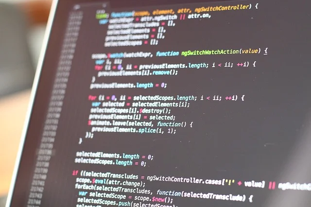 Image of computer screen with code displaying. 