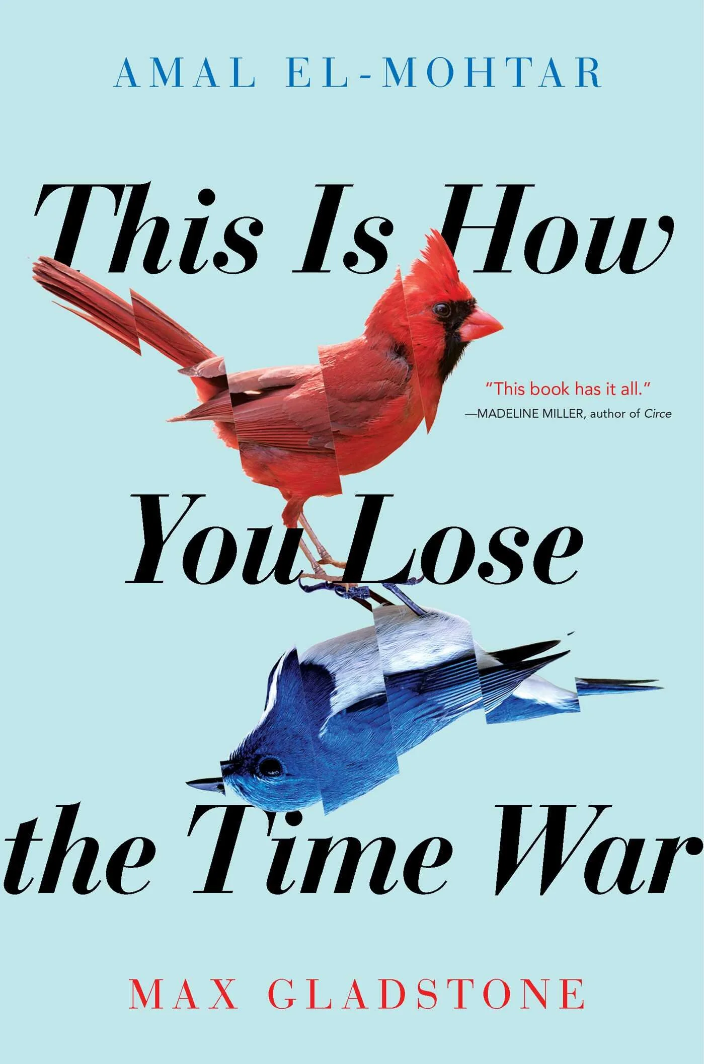This is How You Lose the TIme War.jpeg