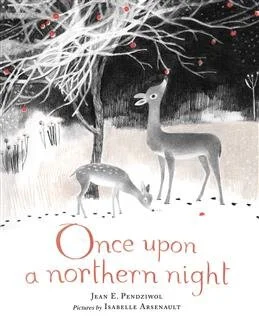 Once Upon a Northern Night.jpg