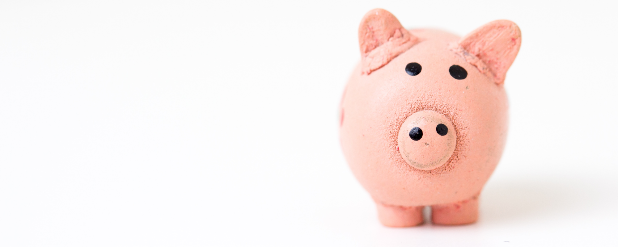 Dollars and sense: Personal finance and investing books during tax season