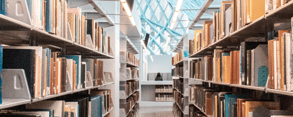 Social justice books in Canadian libraries