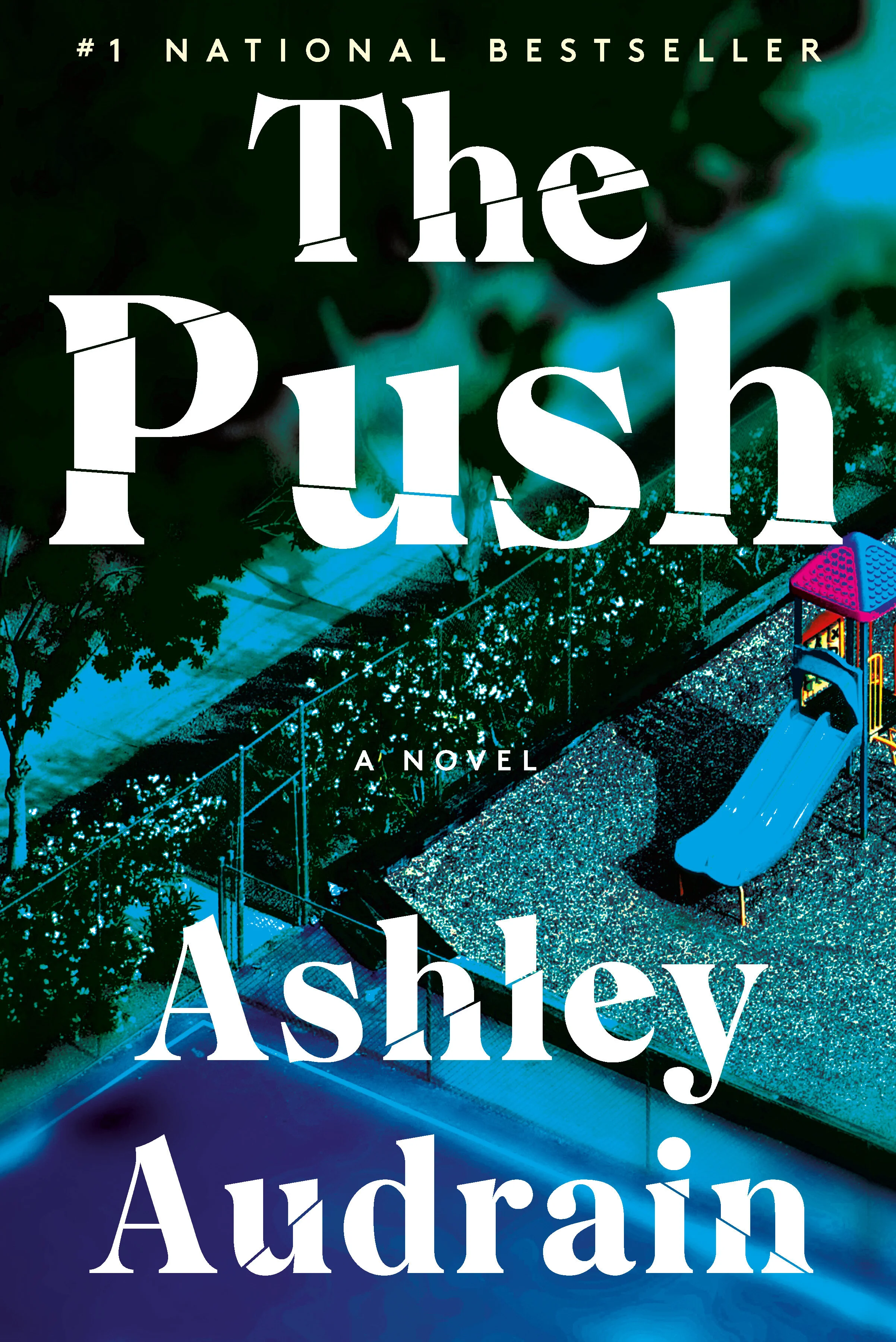 Book cover for The Push by Ashley Audrain