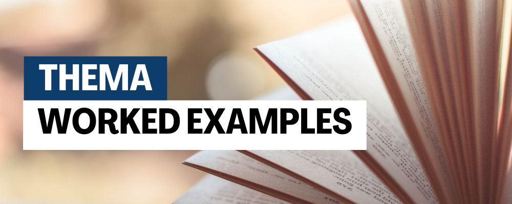 Using Thema to identify diverse content in product metadata: worked example #8