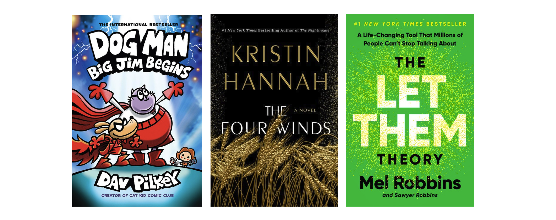 Most circulated books of 2025