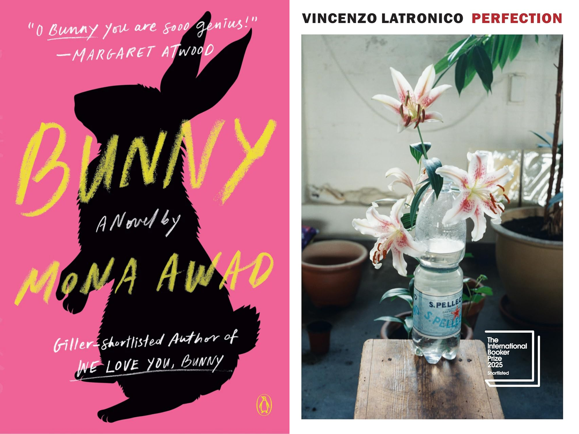 Book covers for Bunny by Mona Awad and Perfection by Vincenzo Latronico & Sophie Hughes