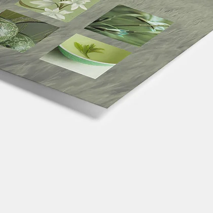 cover-18-green.jpg
