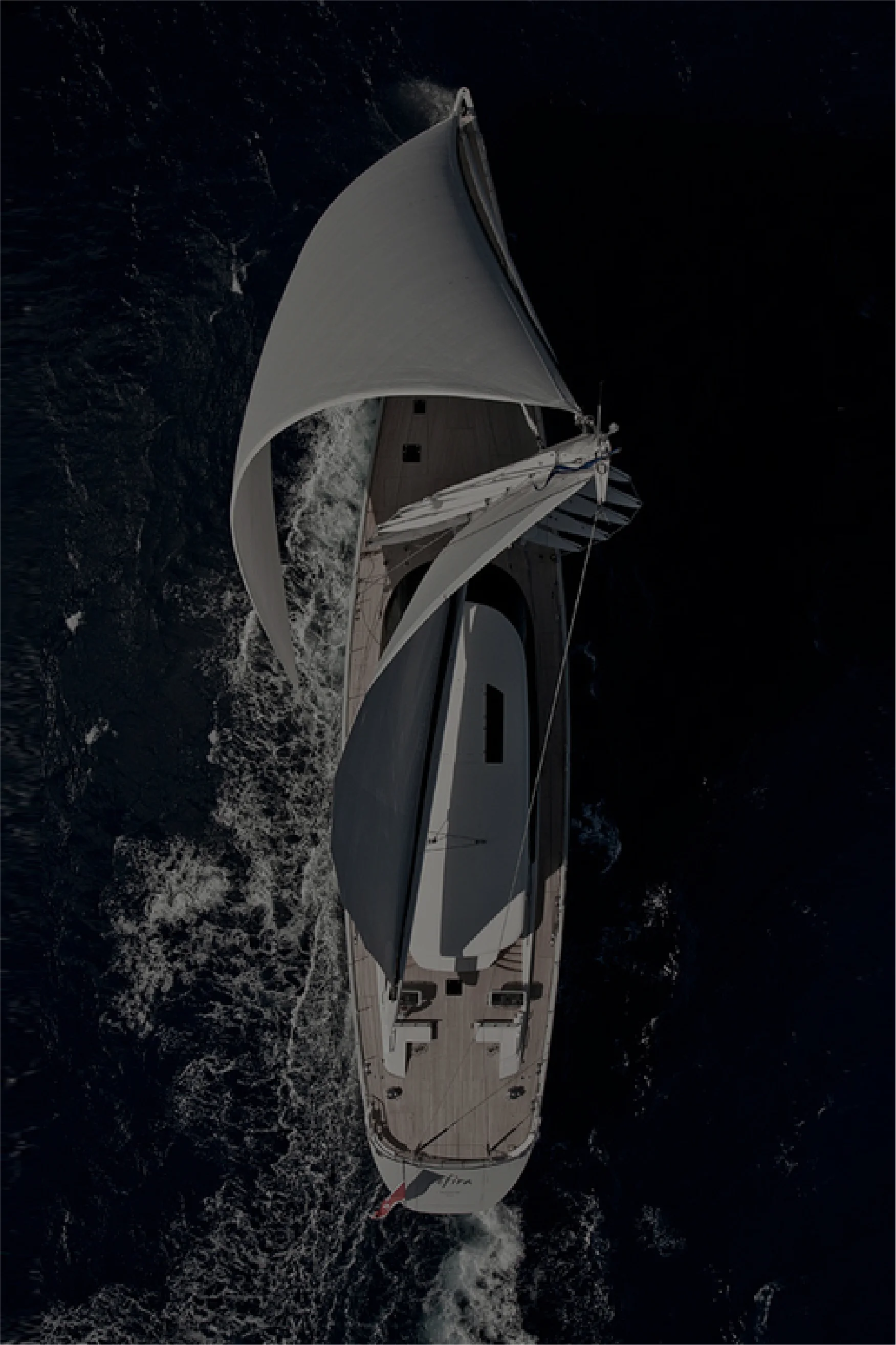 cover-18-fortis.jpg