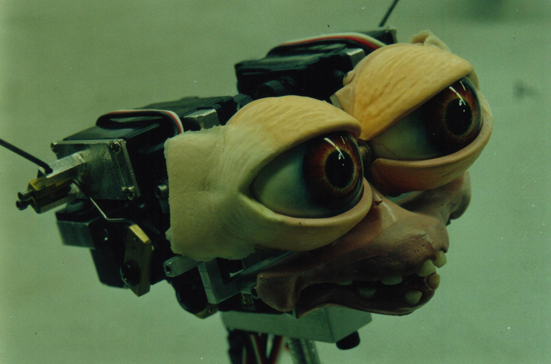 G2smallDaffyMech.jpg