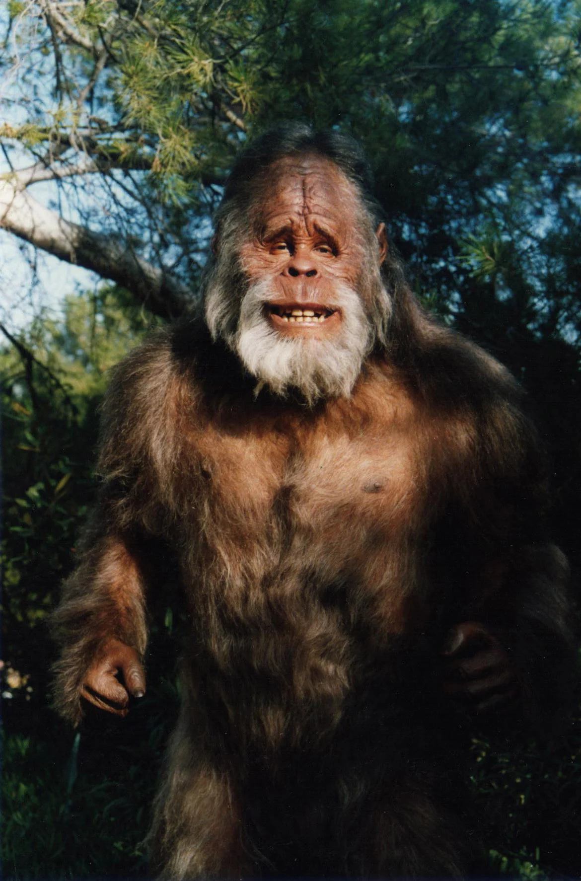 harryFull.jpg