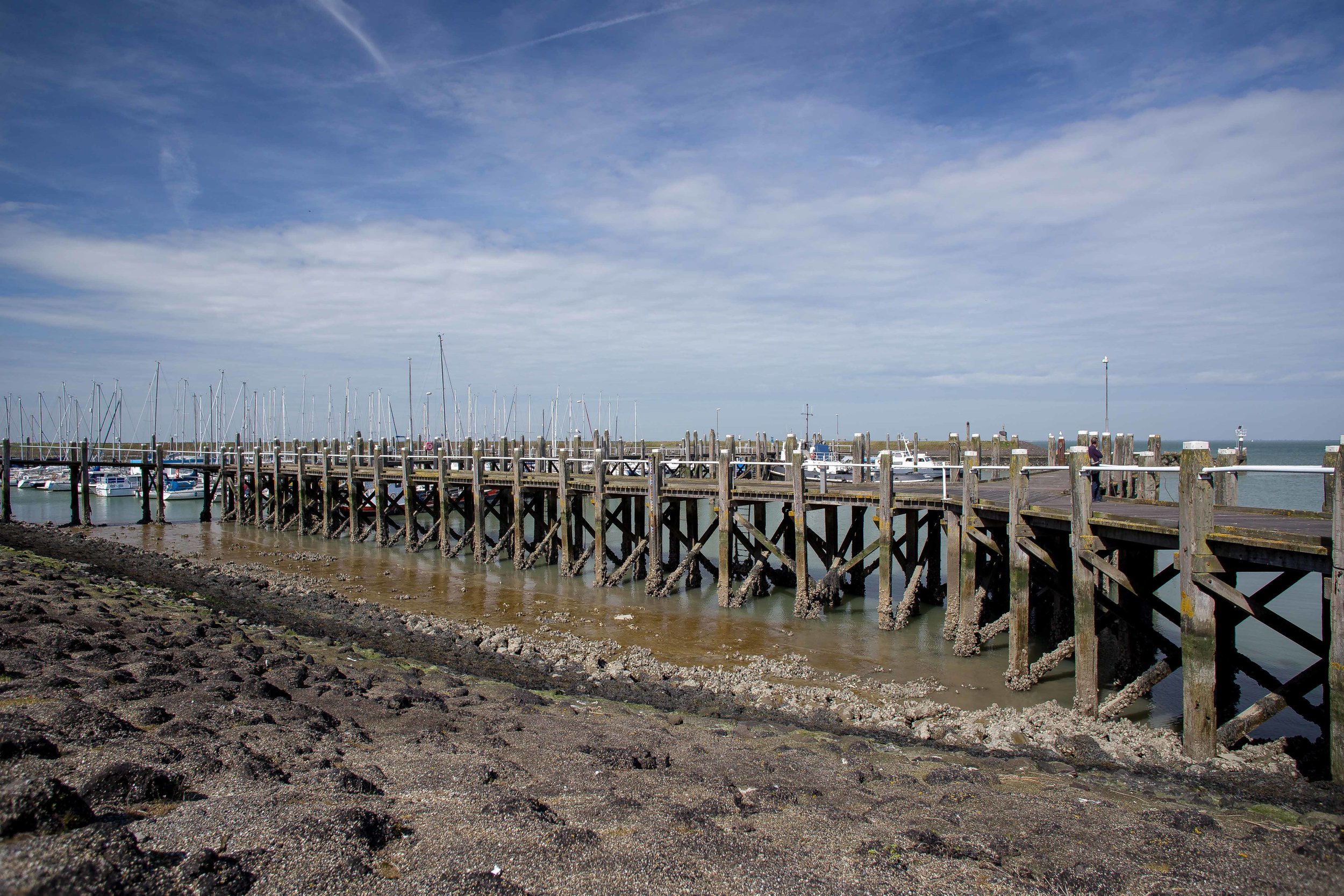 Seafarm | Oosterscheldekreeft