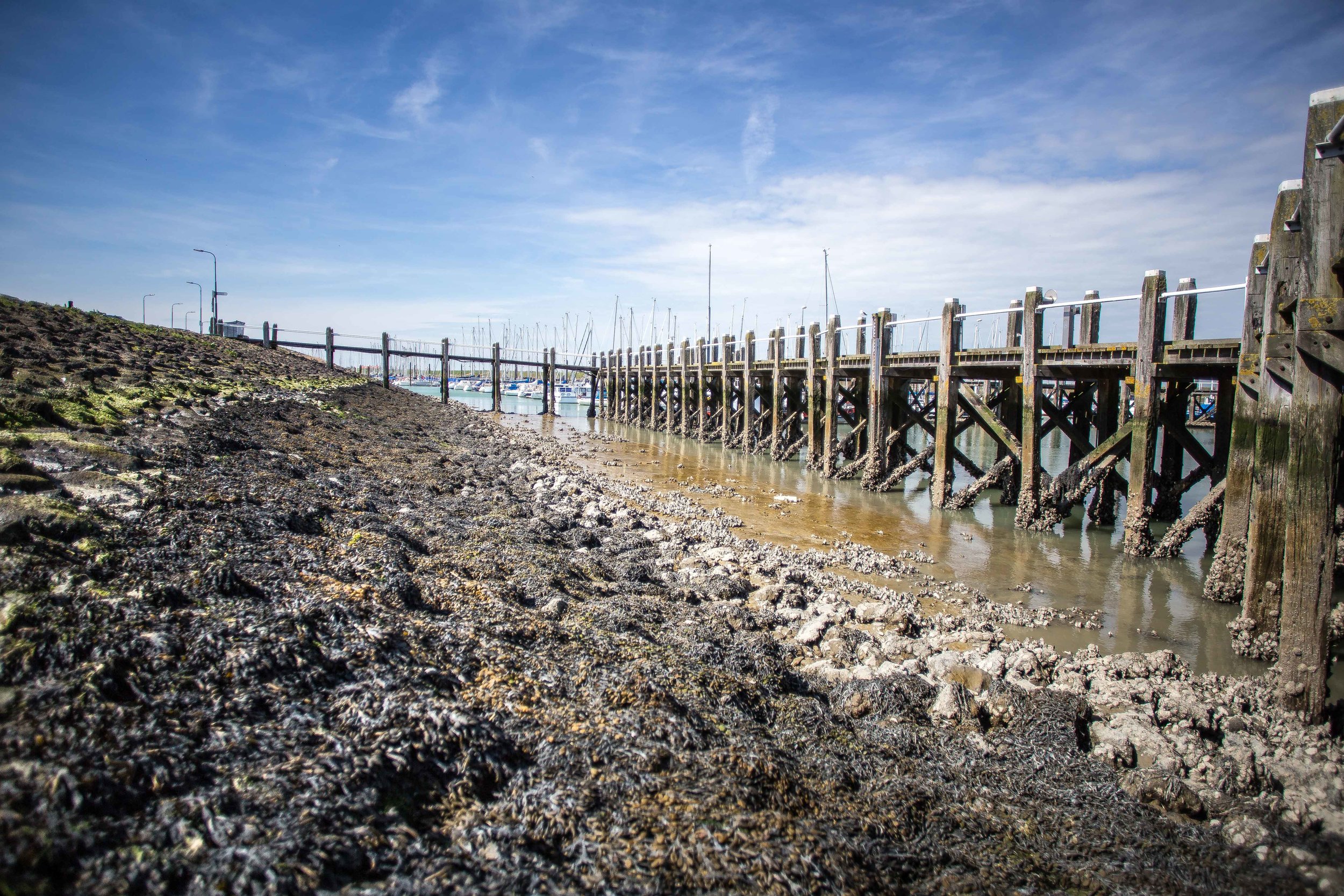 Seafarm | Oosterscheldekreeft