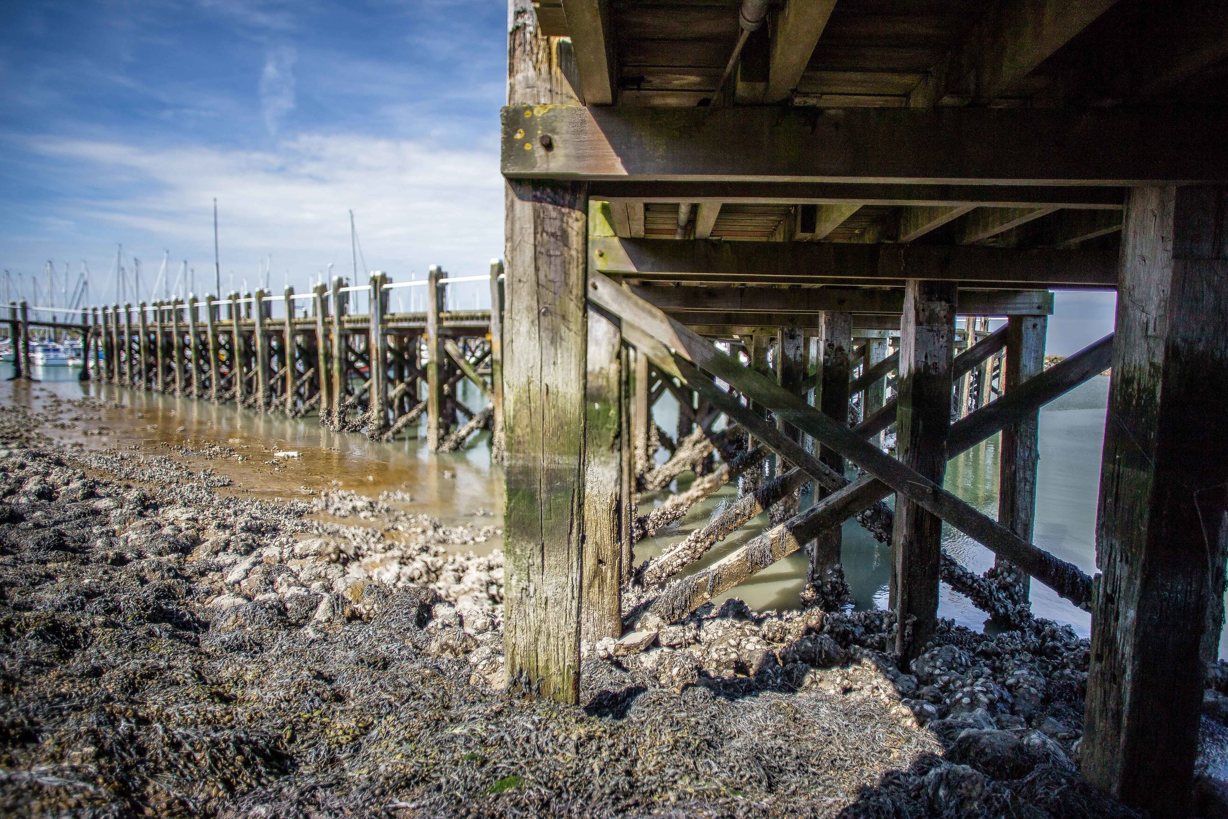 Seafarm | Oosterscheldekreeft