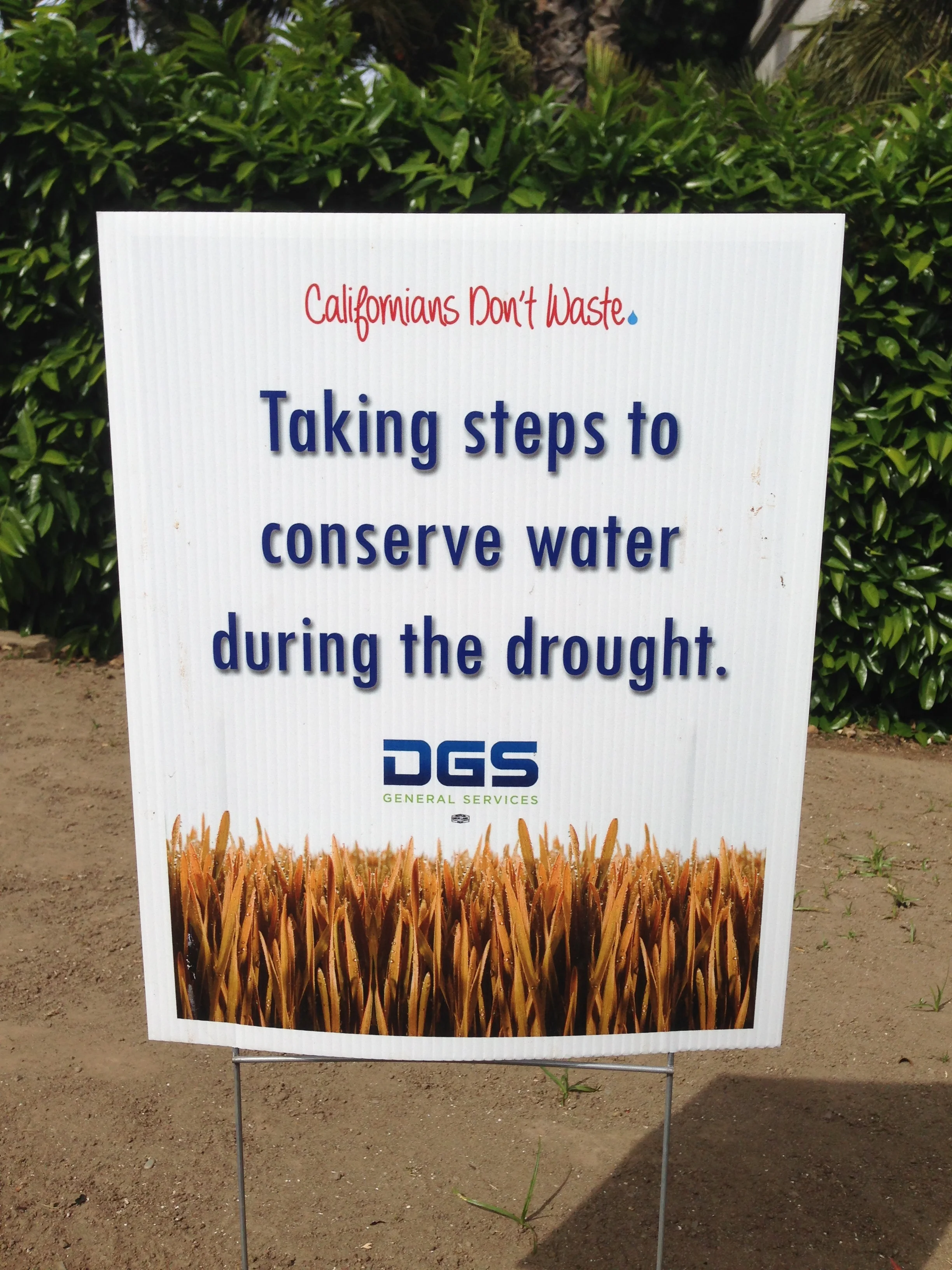 California's drought: water usage at music festivals
