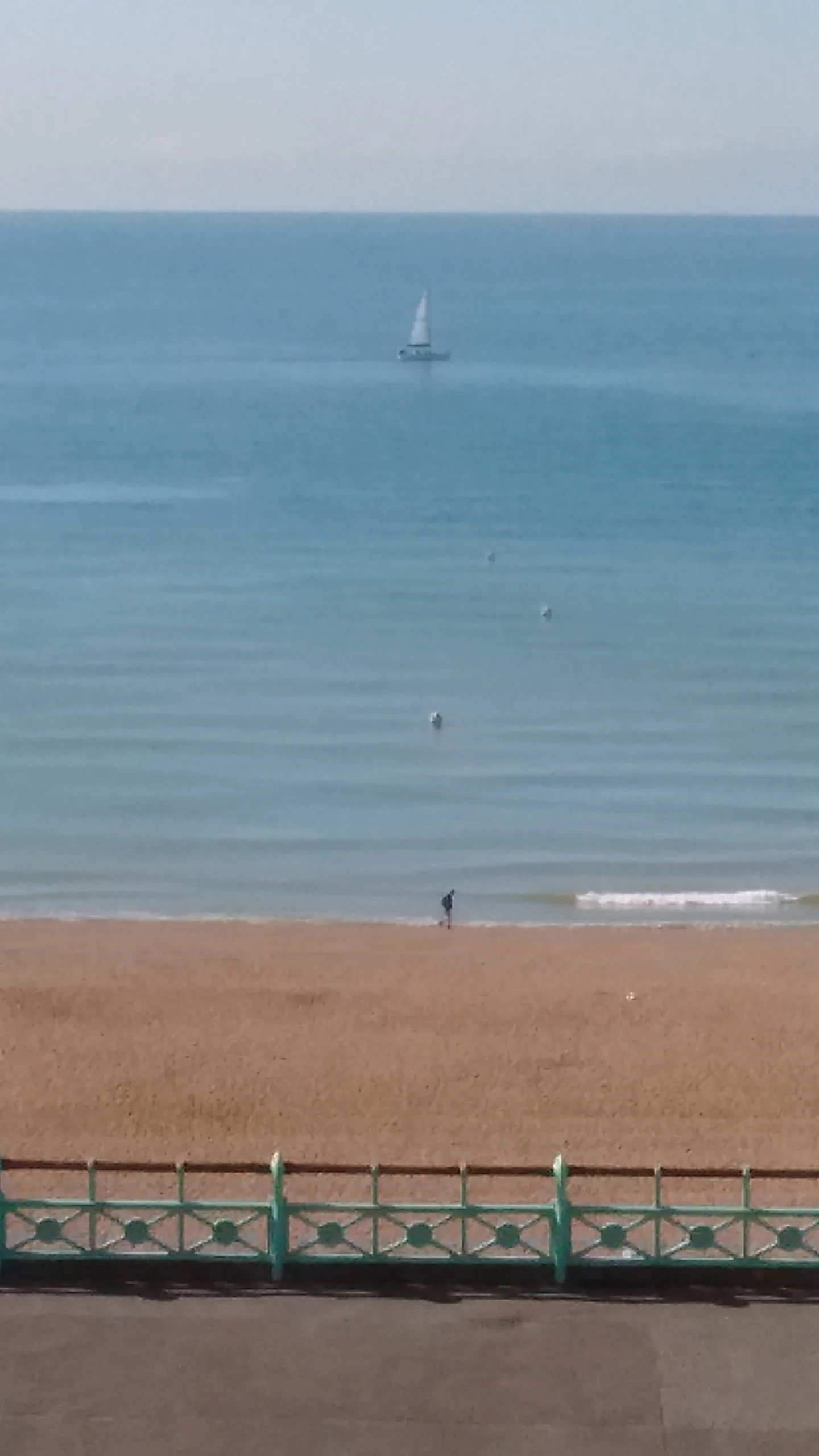 The view from my office