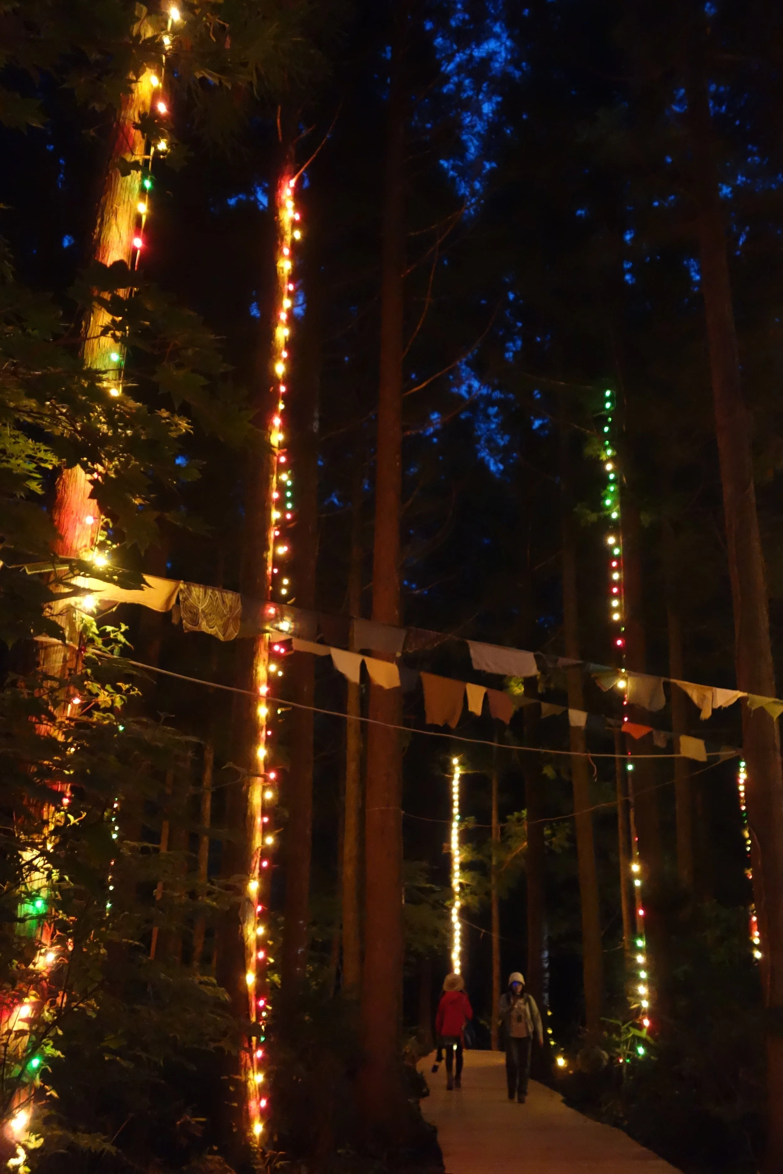 Fairytale forest at Fuji Rock: pretty cool