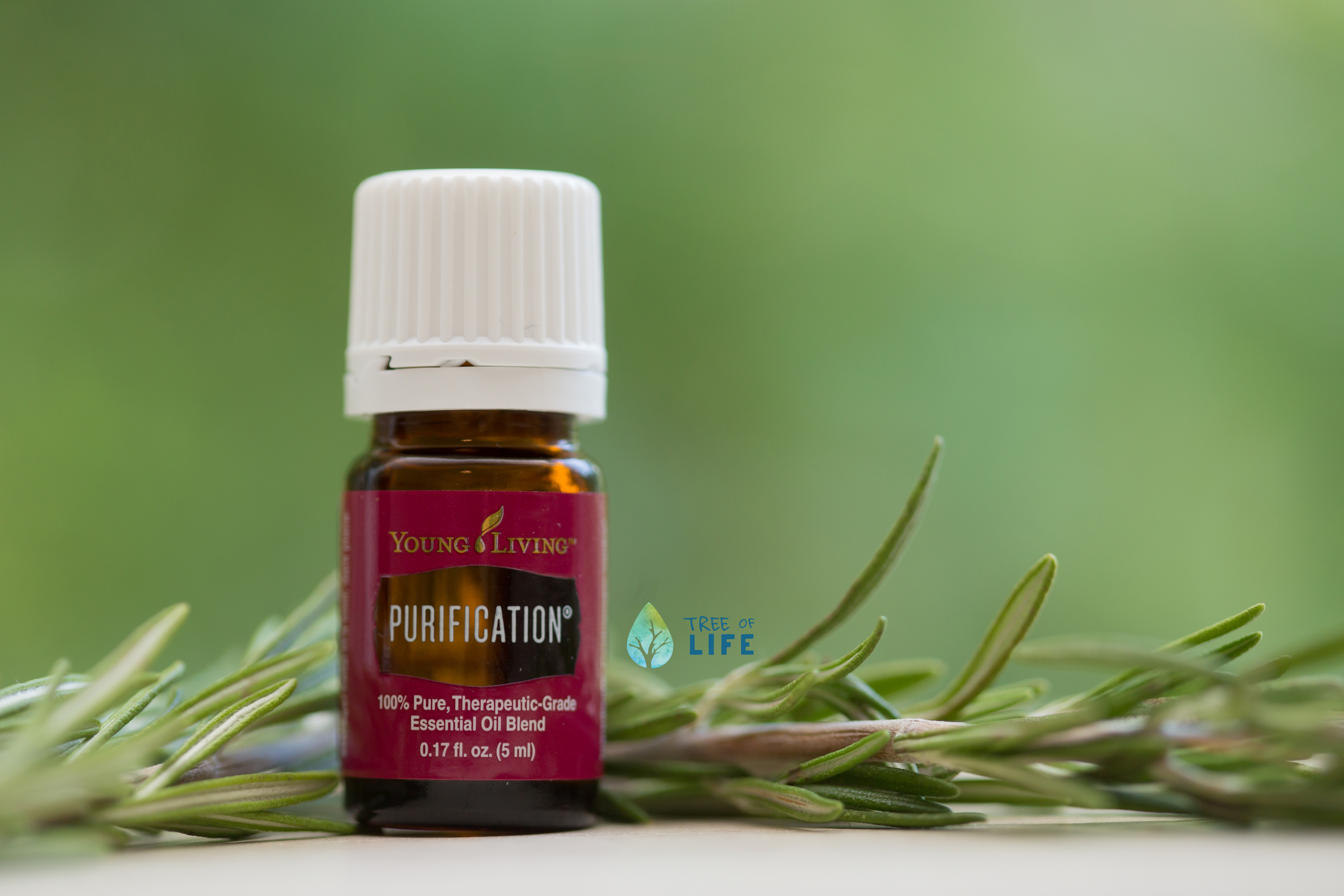 Young Living Purification, a fresh blend of Citronella, Lemongrass, Lavandin, Rosemary, Tea Tree, and Myrtle essential oils.