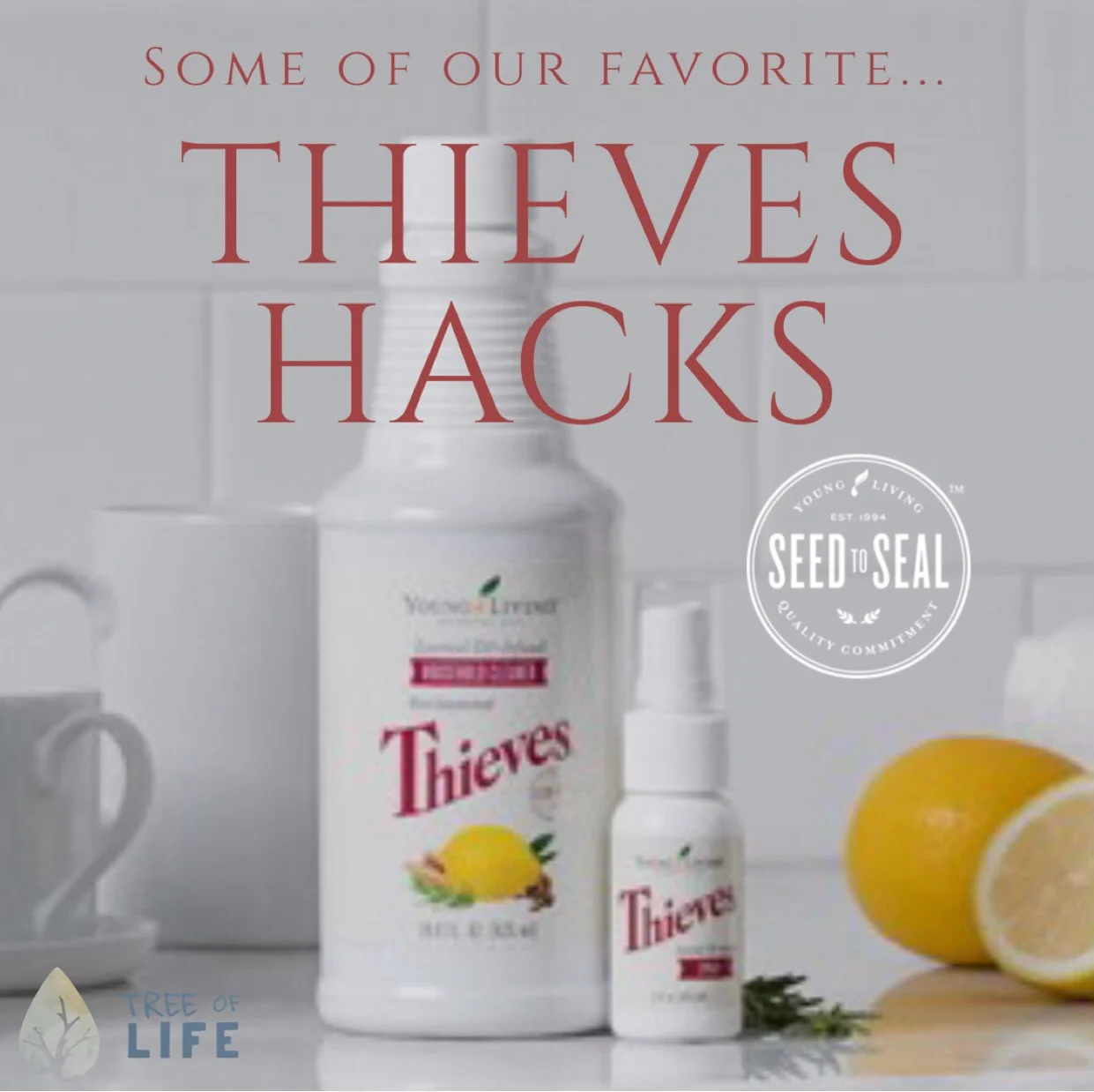 ThievesHacks.jpg