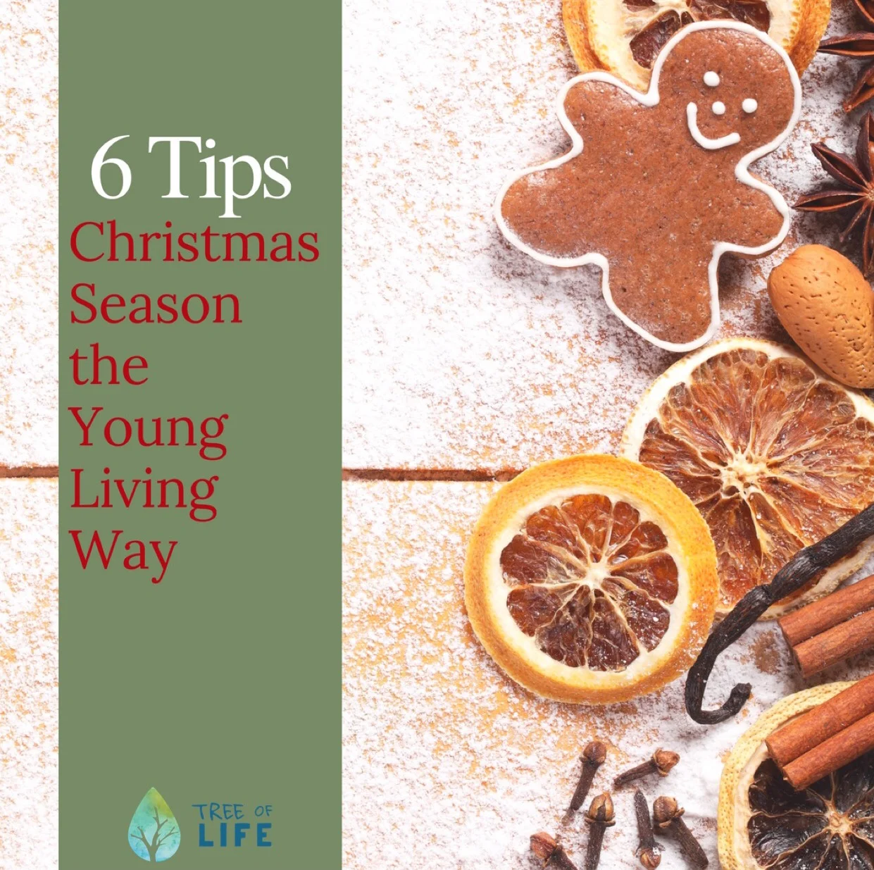 ChristmasSeasonTips.jpg