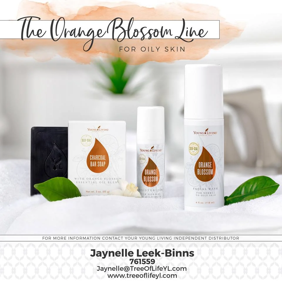 These plant-based and natural products are ideal for oily and combination skin.