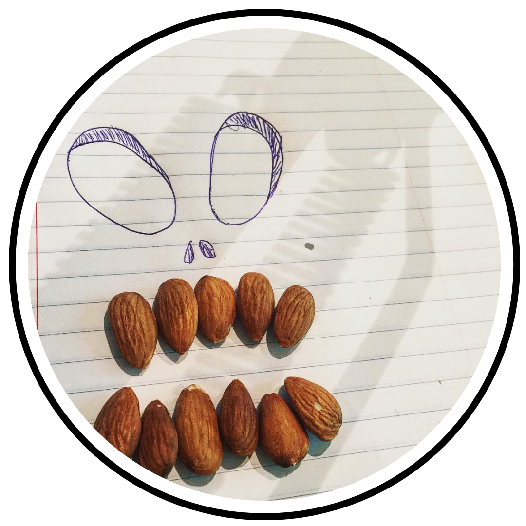 The Five-Year-Old Monster: When Your Sweet Kid Turns Into a Mini Jerk