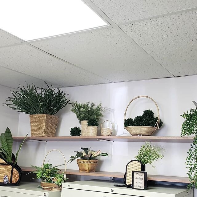 Office shelves decorated with #purses #baskets and #greenery .
.
.
#basketsofcambodia #original #official #greenoffice #shelfdecor #seattle #baskets #washington #vintagebaskets #rattan #wicker #seagrass #straw #hyacinth #eco #sustainable #homedecor #
