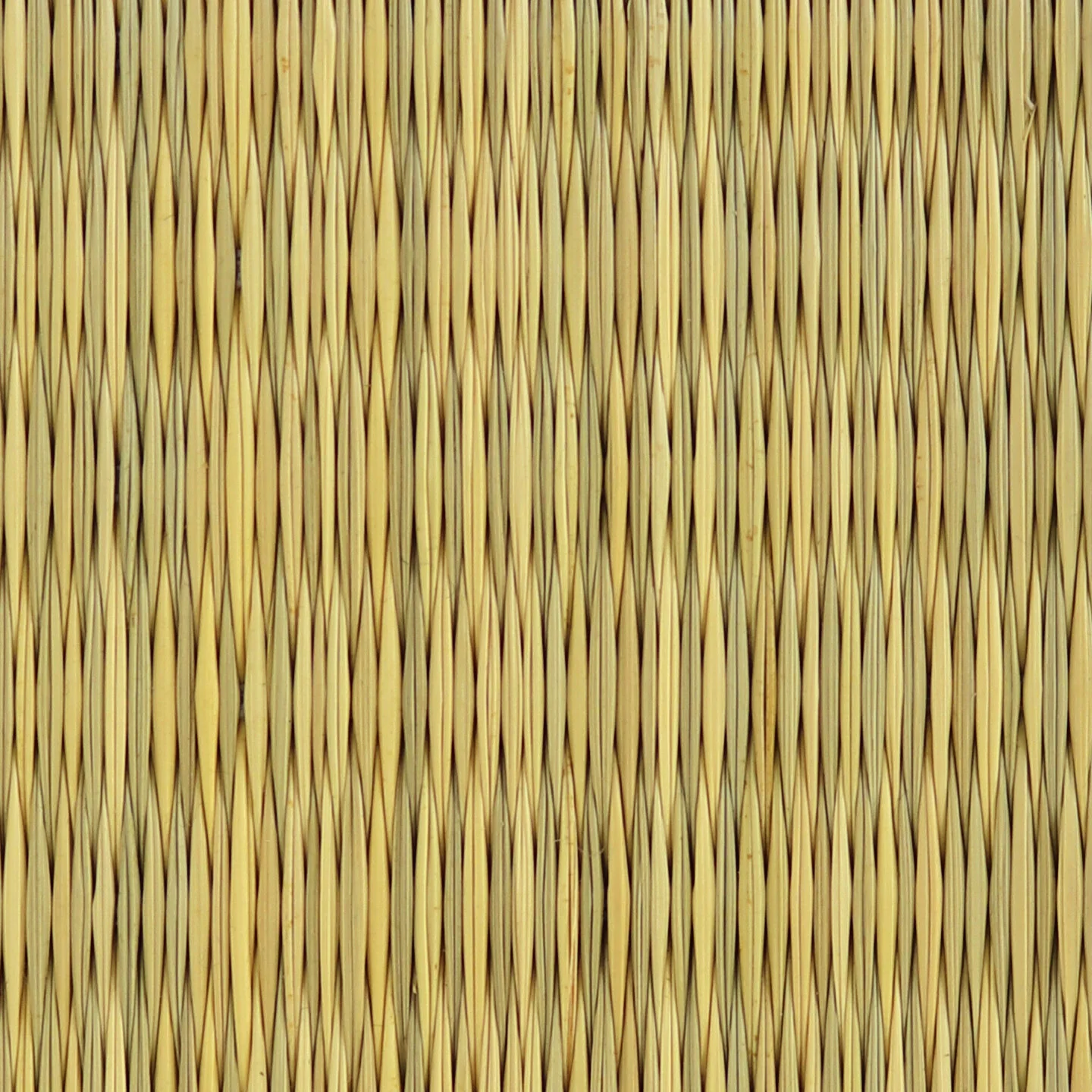 NAT (Copy)
