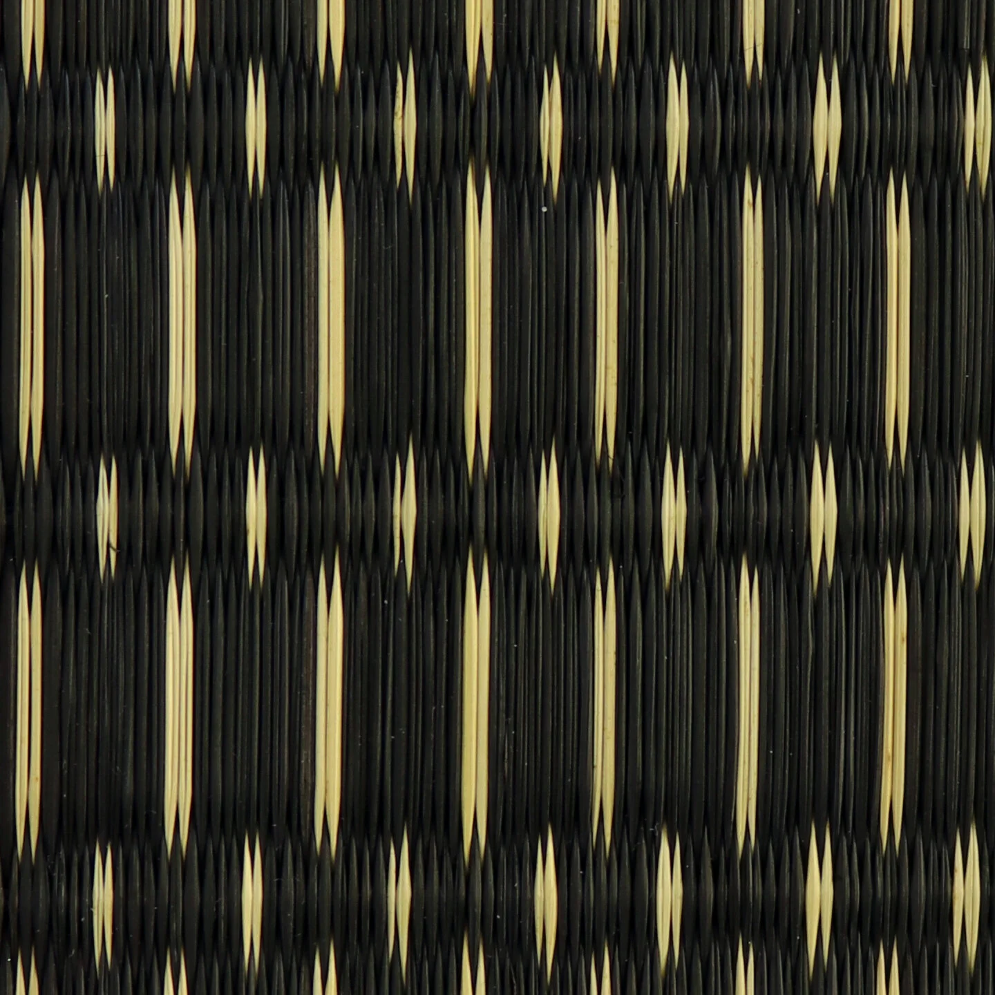 BBW (Copy)