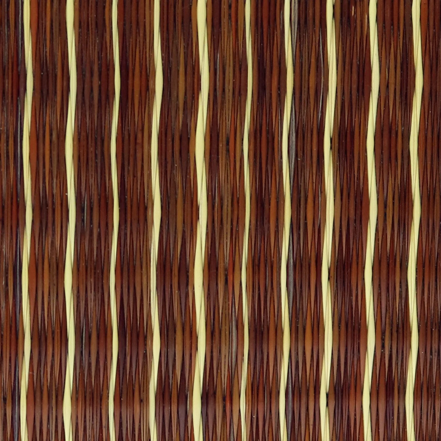 BRN61