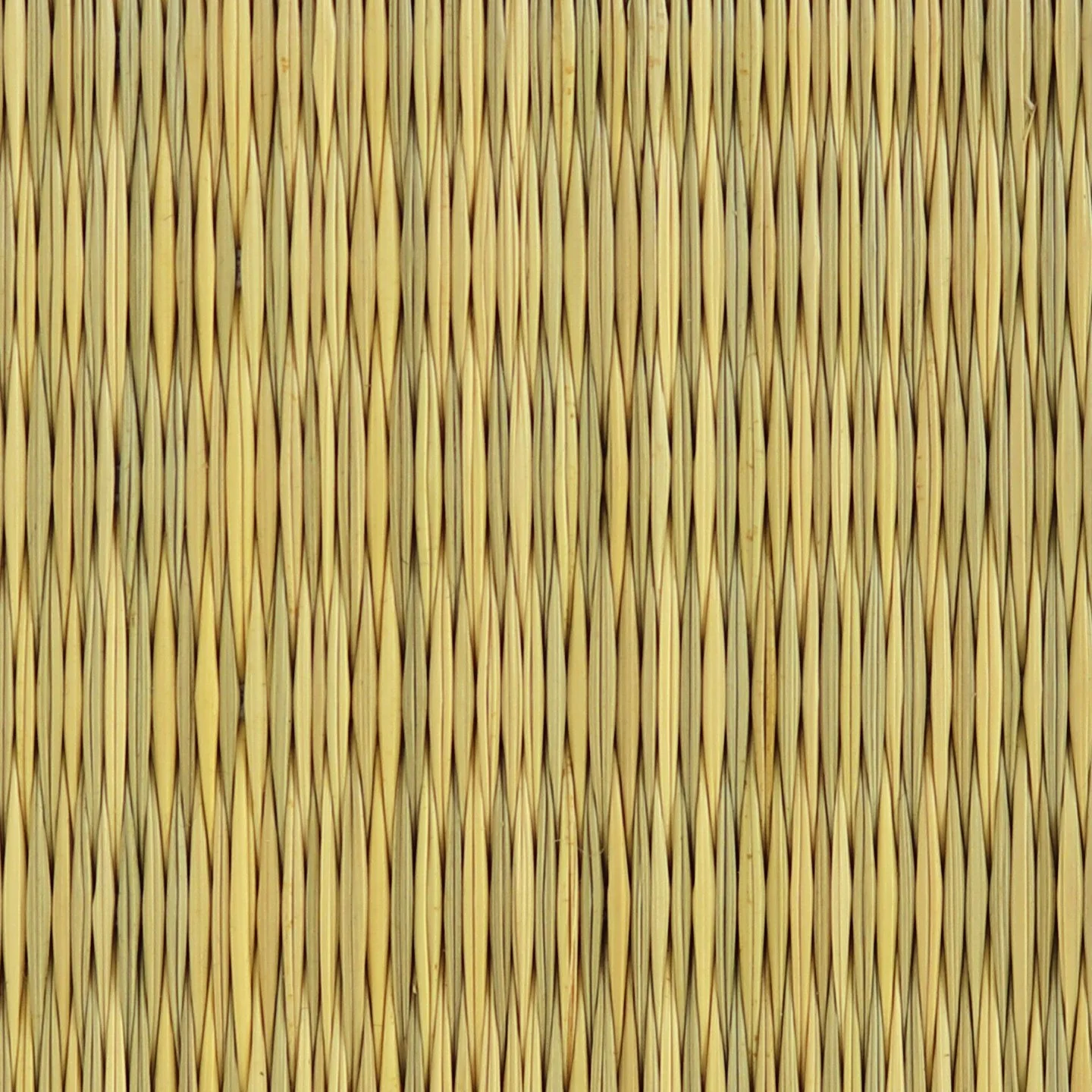 NAT
