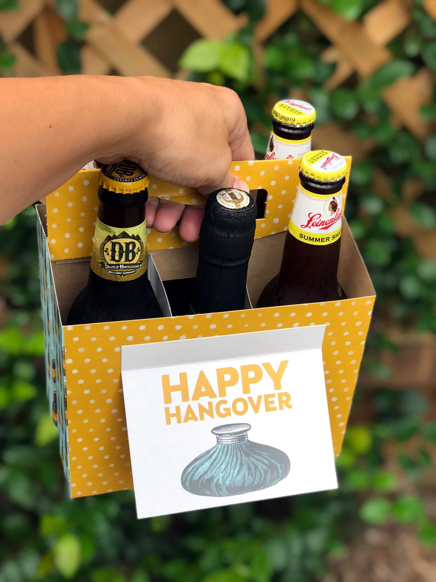hangover_ivy.jpg