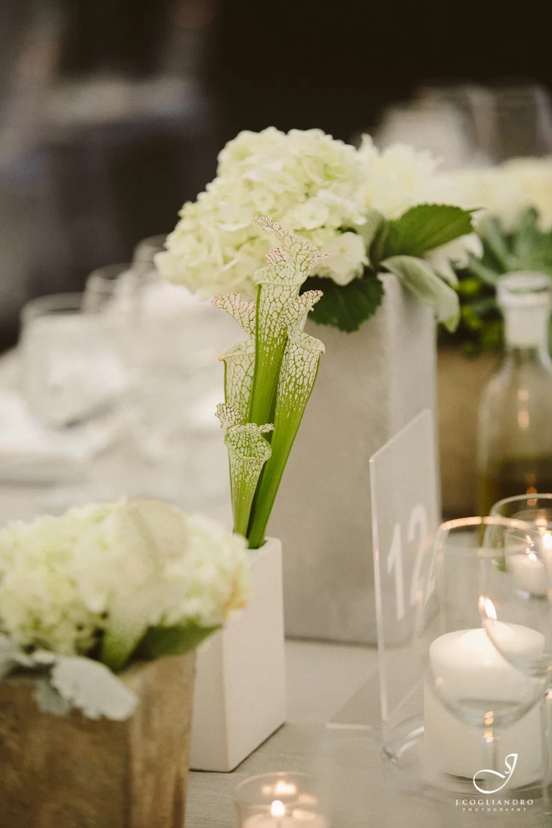 Succulent and white flower centerpiece
