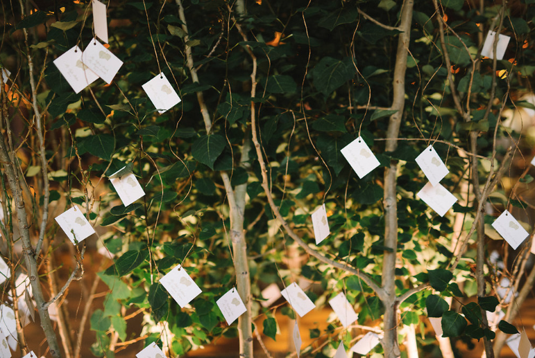Charette Stackman Aspen Escort Cards.png