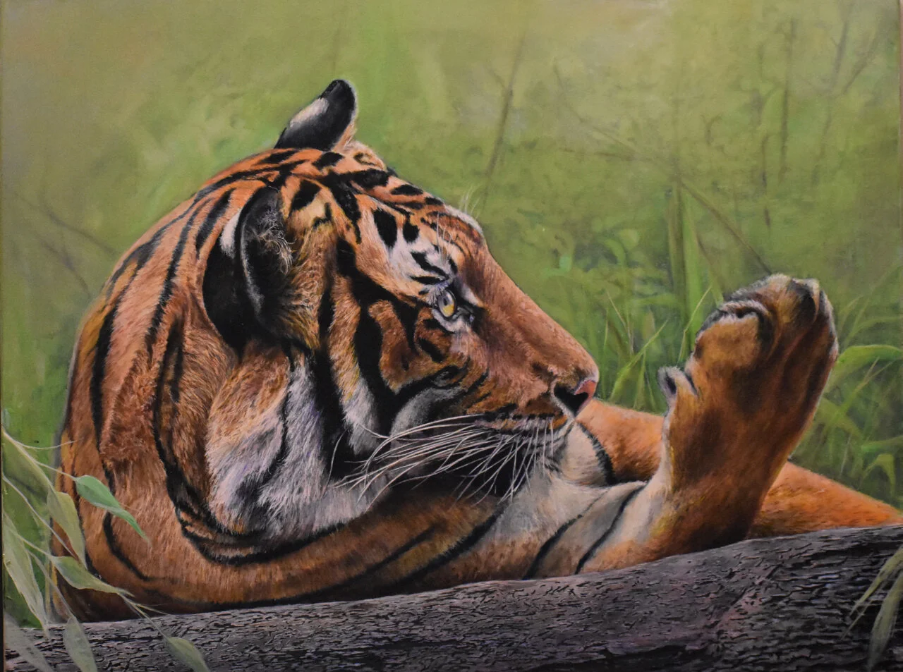 153-14 Kris Henderson %22Tiger Paws%22 $4850.jpg