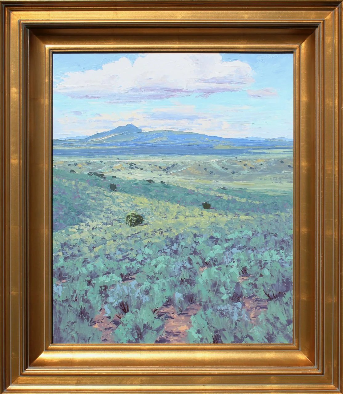 5-163 Ken Daggett %22Tres Orejo Shadows%22 $2700-framed.jpg