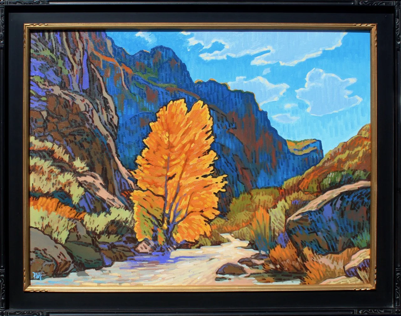 170-70 Brad Price %22Diablo Canyon Fire%22 $5800-framed.jpg