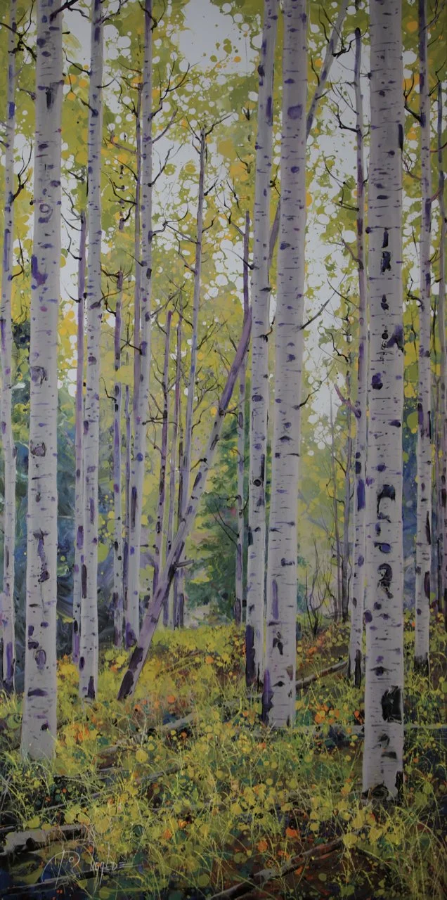 115-259 Roberto Ugalde Foggy Aspen Grove-Summer.jpg
