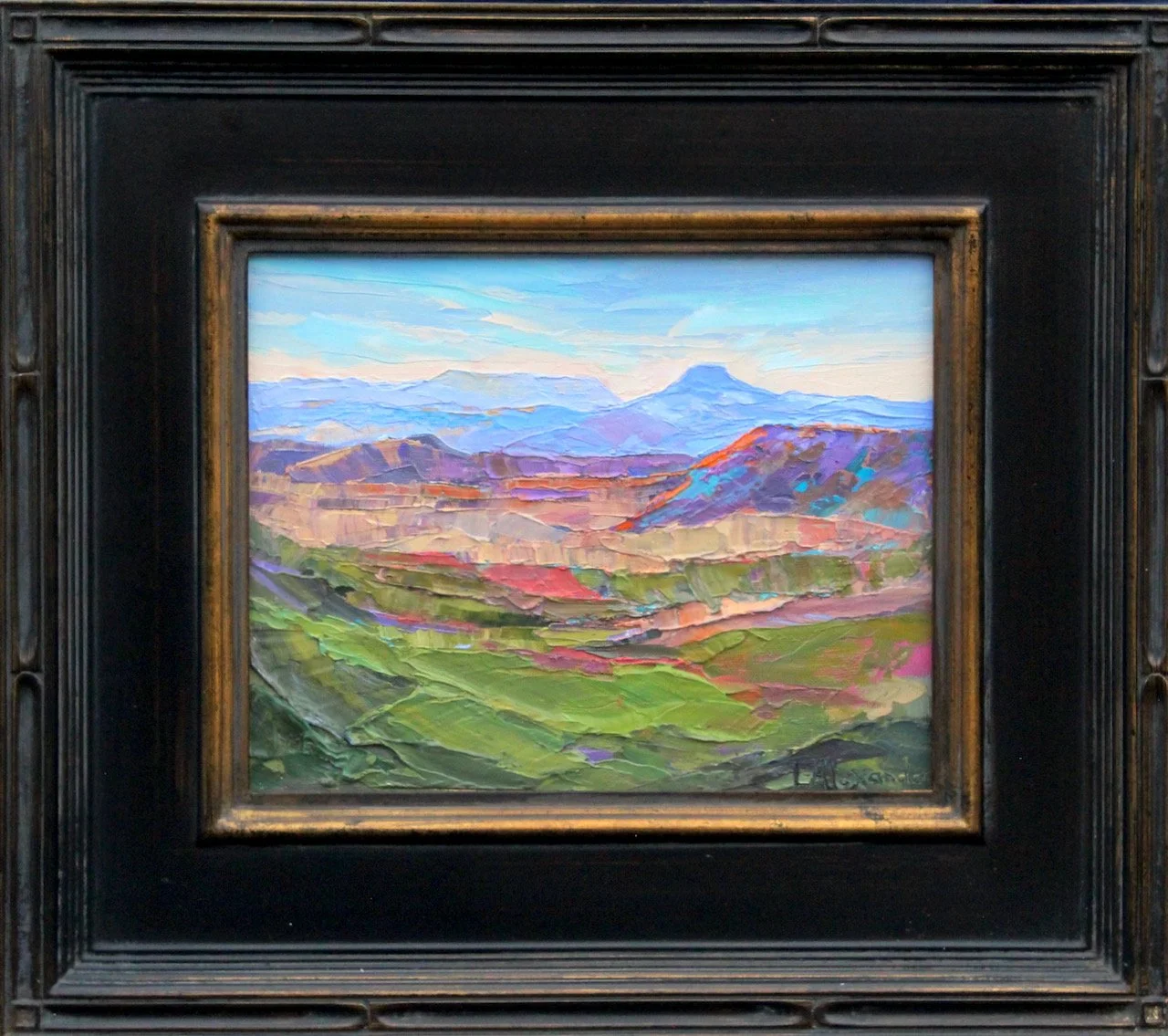 107-103 Lorraine Alexander "Perdernal Beyond the Valley" $1100-framed.jpeg