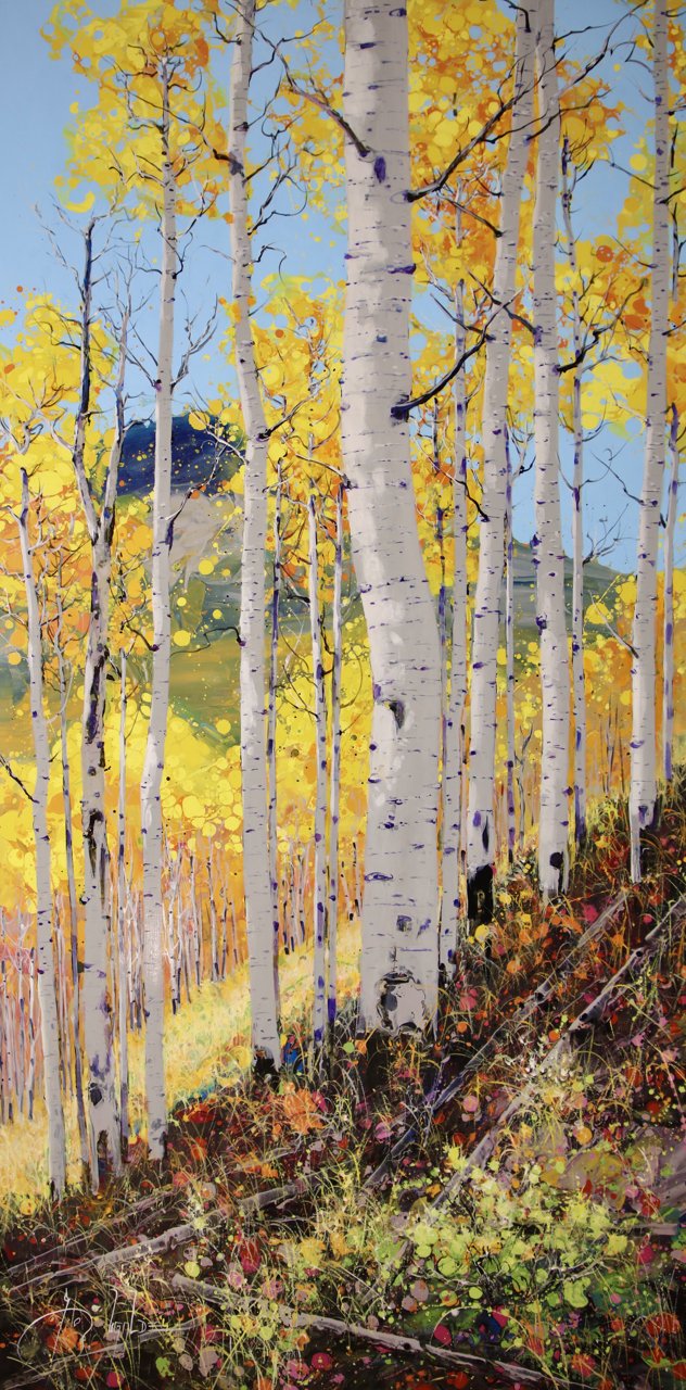 115-269 Roberto Ugalde Aspen Escape.jpg