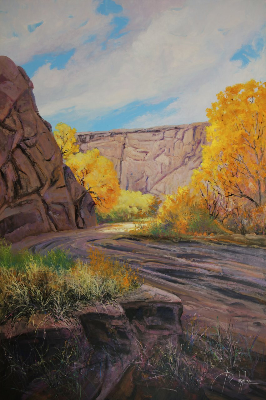 115-263 Roberto Ugalde Canyon De Chelly.jpg