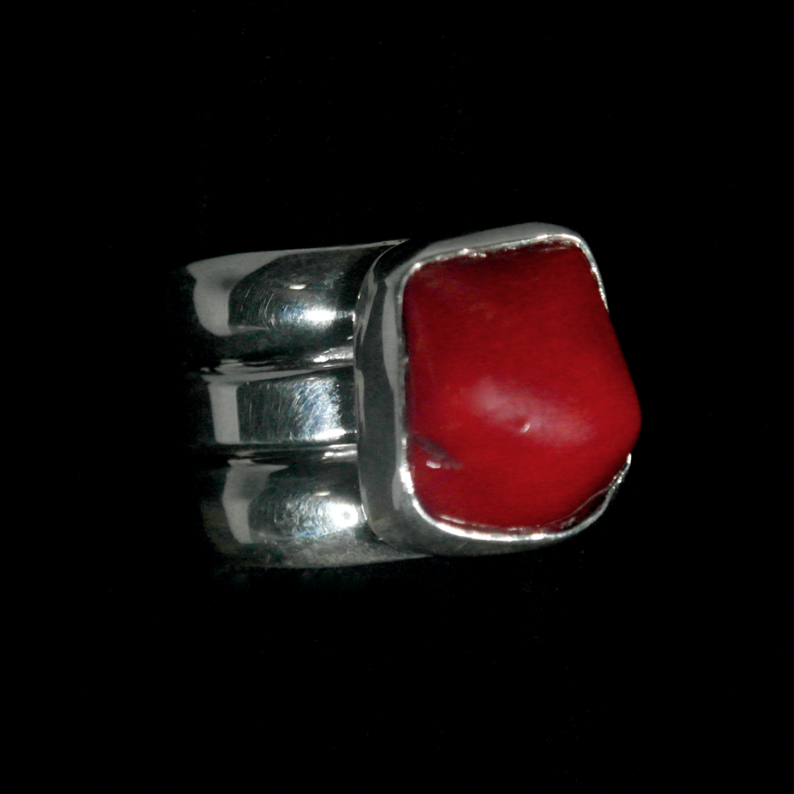 Screen Shot 2026-02-18 at 3.07.48 PM.png