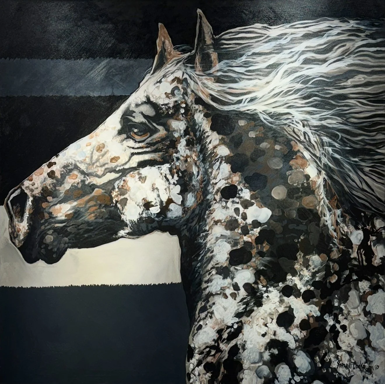 View recent photos 2.jpeg