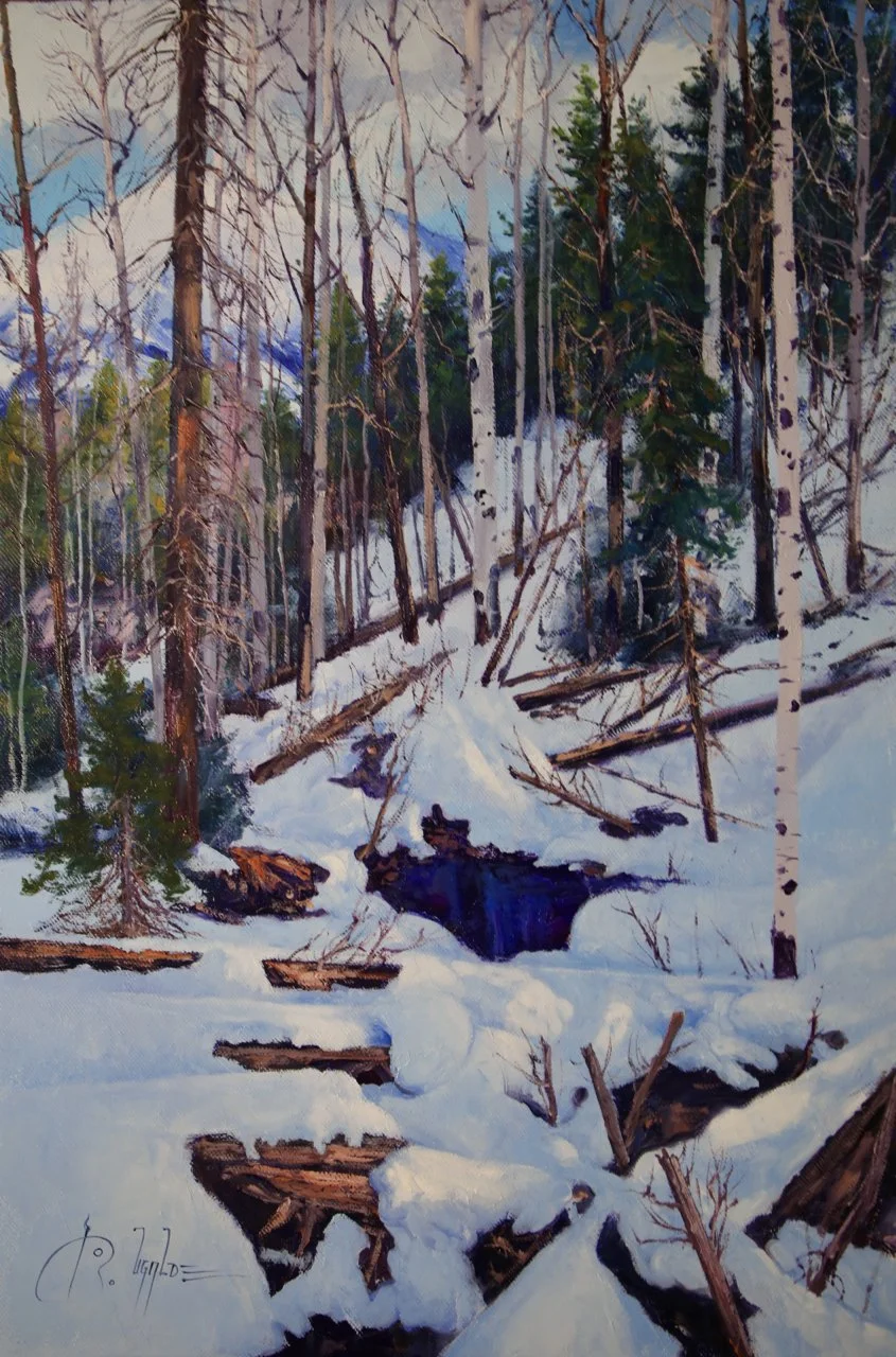 115-264 Roberto Ugalde Sierra Blanca Winter.jpg