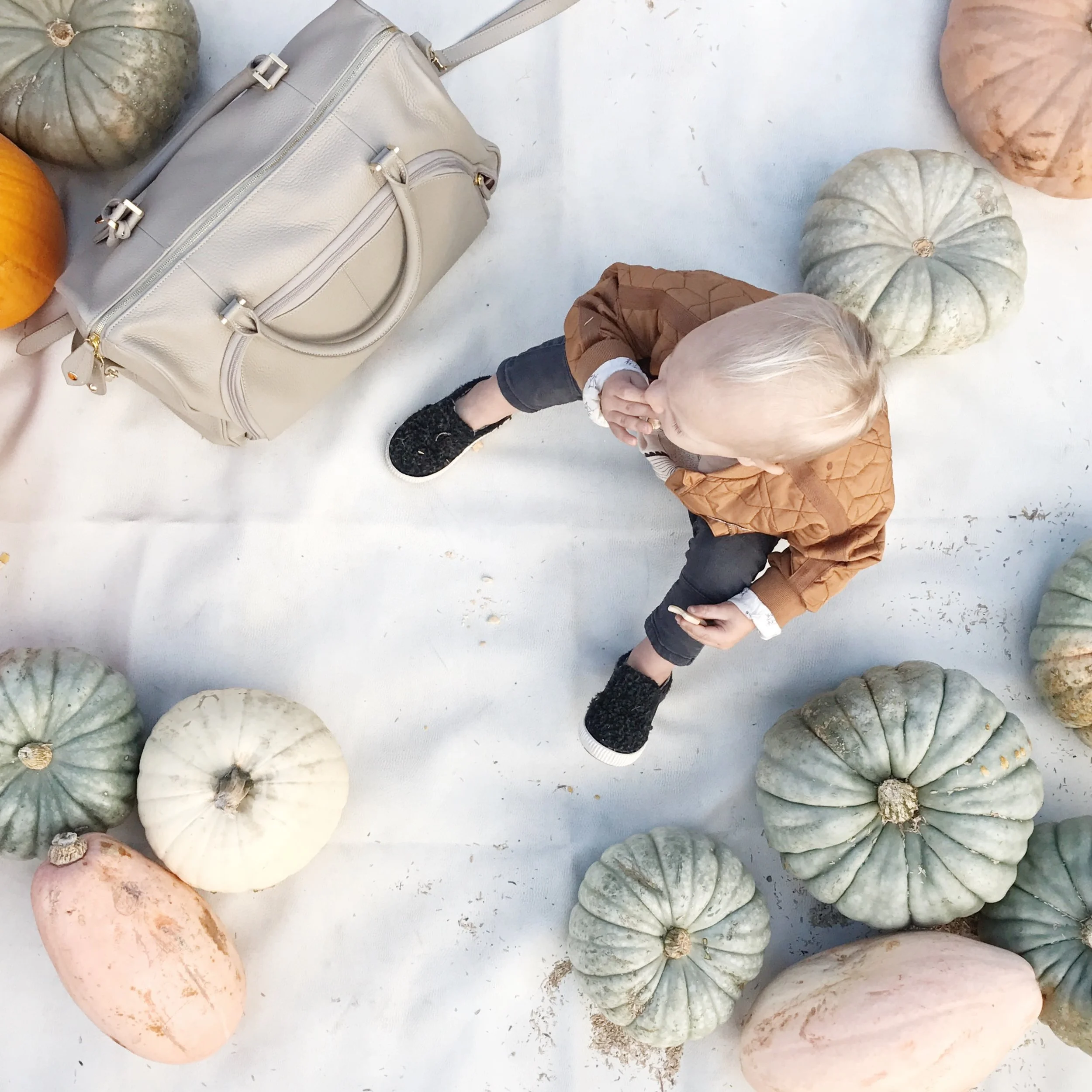 Pumpkin Patch Adventures