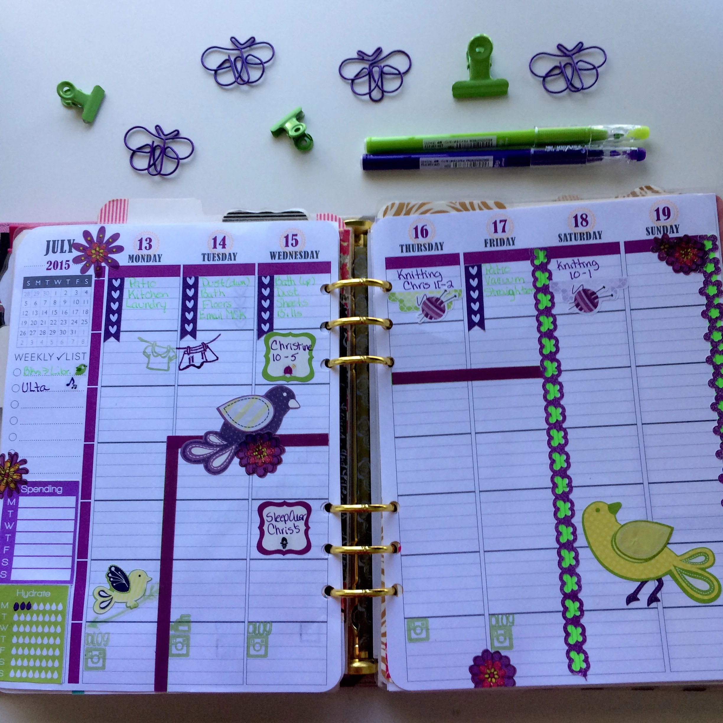 Week #29 in my Plumpaper/Kikki-K Planner