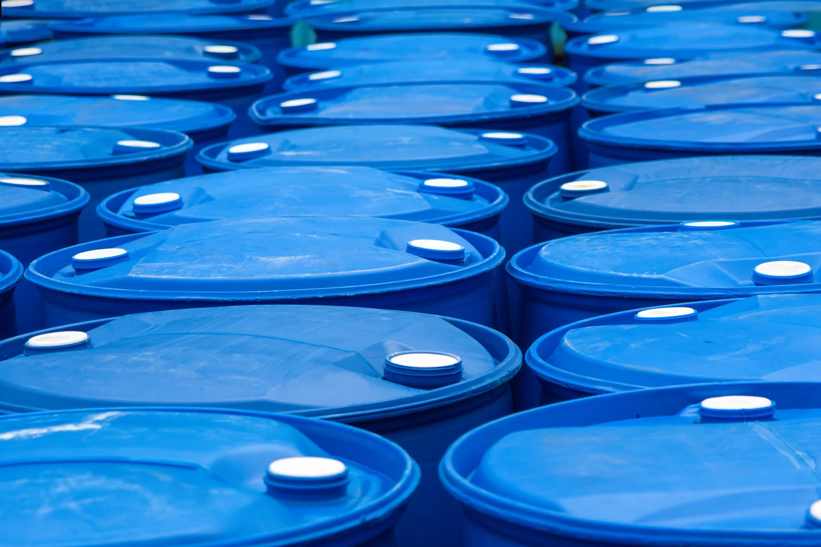 bluebarrels.jpg