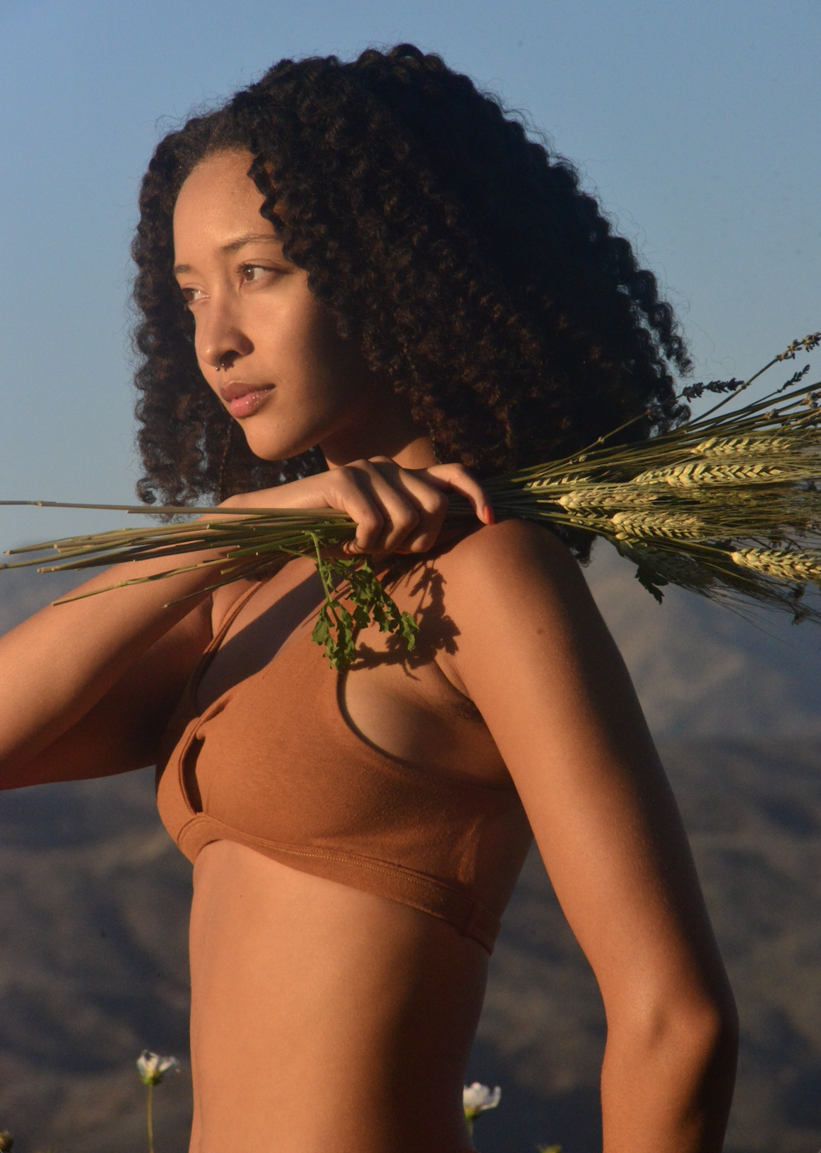 Tig 'Ol Bitties Top in Hemp ~ Sol